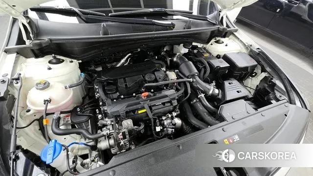 Kia Sportage 5th Generation id 3388753 из Кореи 16