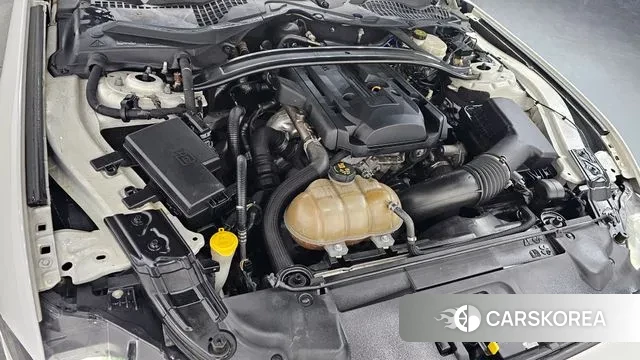 Ford Mustang id 3672737 из Кореи 16