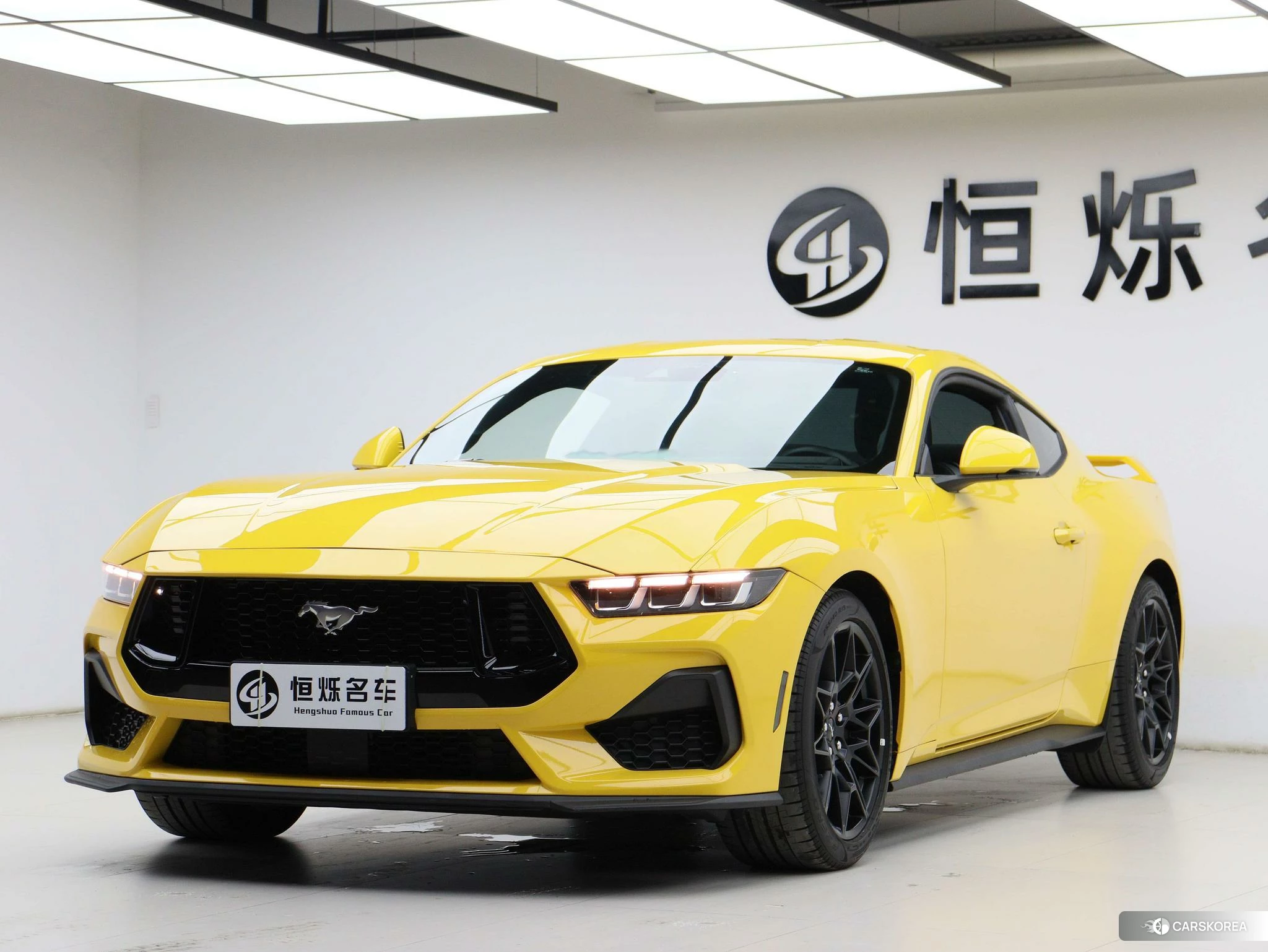 Ford Mustang id 4486306 из Китая 28