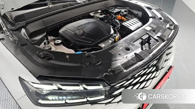 Renault Korea (Samsung) Grand Coleos id 3653842 из Кореи 16