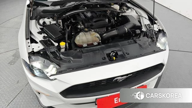 Ford Mustang id 4356865 из Кореи 27