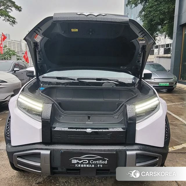 Leopard Titanium 3 id 3983283 из Китая 13