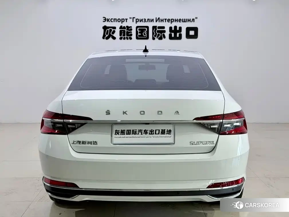 Skoda Speed pie id 4553642 из Китая 11