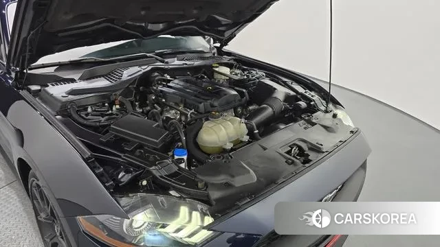 Ford Mustang id 3017032 из Кореи 16