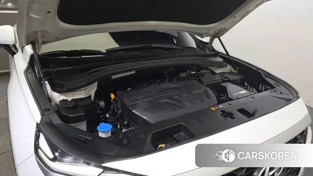 Hyundai Santa Fe TM id 3024593 из Кореи 16