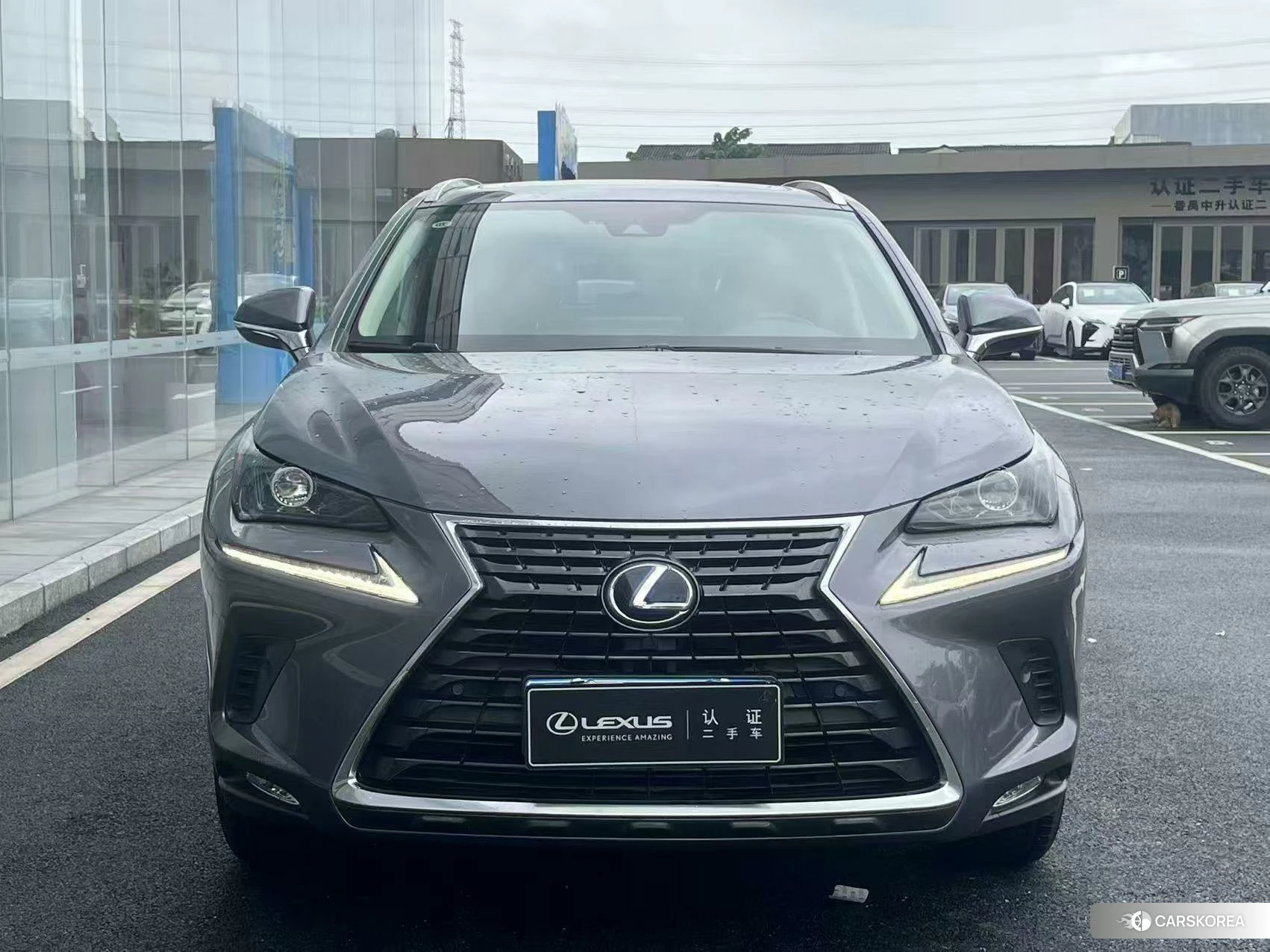 Lexus NX 2019 Серебристо-серый из Китая, фото 6