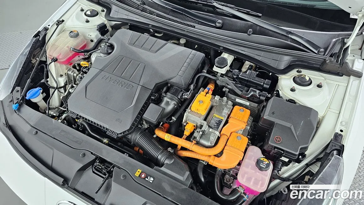 Hyundai Avante Hybrid (CN7) id 2074369 из Кореи 16