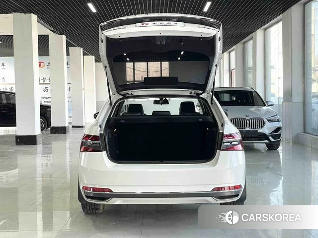 Skoda Speed pie id 4380579 из Китая 15
