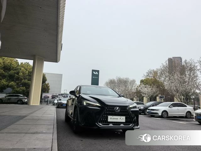 Lexus NX id 4209646 из Китая 13