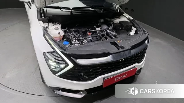 Kia Sportage 5th Generation id 3420348 из Кореи 16