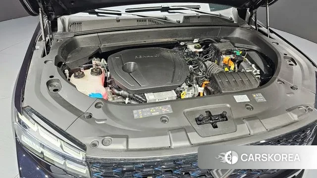 Renault Korea (Samsung) Grand Coleos id 3528316 из Кореи 16