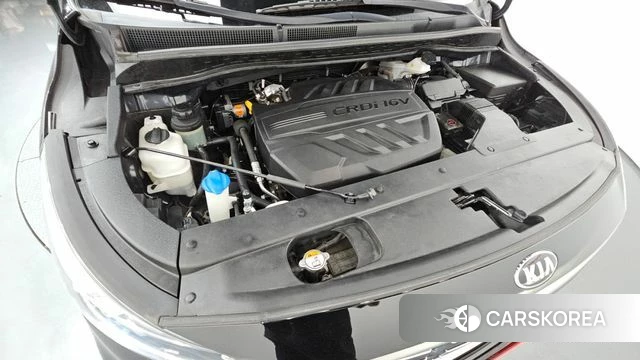 Kia The New Carnival id 4620140 из Кореи 30