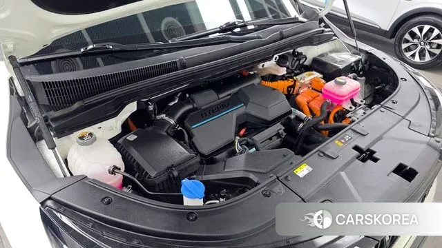 Kia The New Carnival 4th Generation id 3758058 из Кореи 16