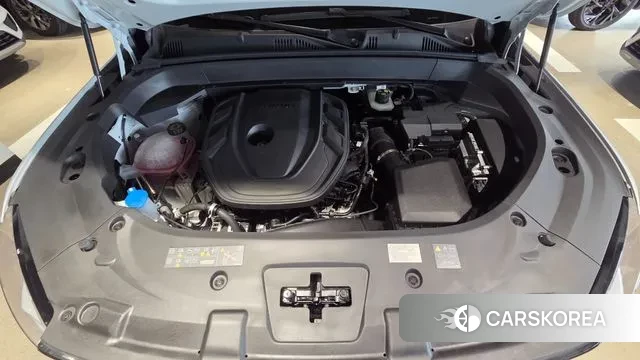 Renault Korea (Samsung) Grand Coleos id 3482192 из Кореи 16