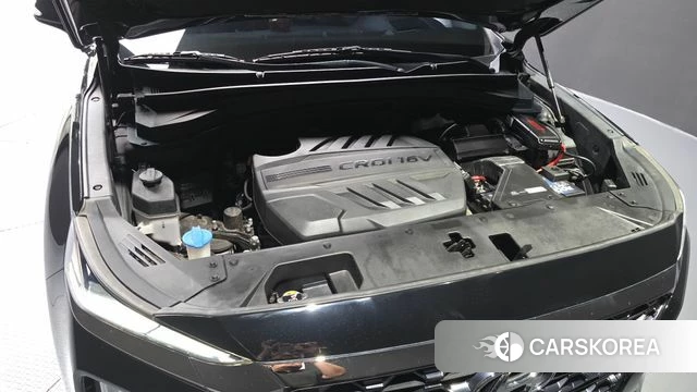 Hyundai Santa Fe TM id 4574525 из Кореи 32