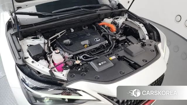 Lexus NX350h Second generation id 3447626 из Кореи 16