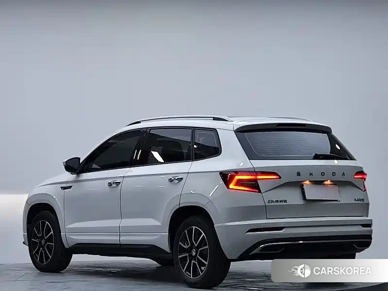 Skoda Karoq id 4601047 из Китая 14