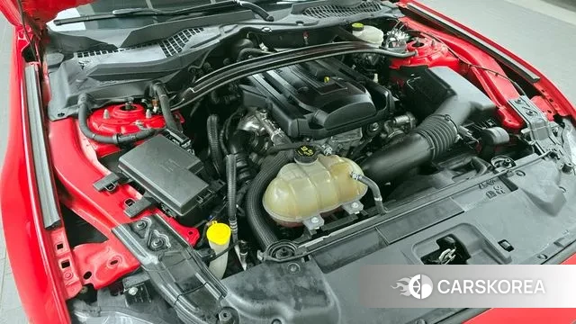 Ford Mustang id 3612280 из Кореи 16