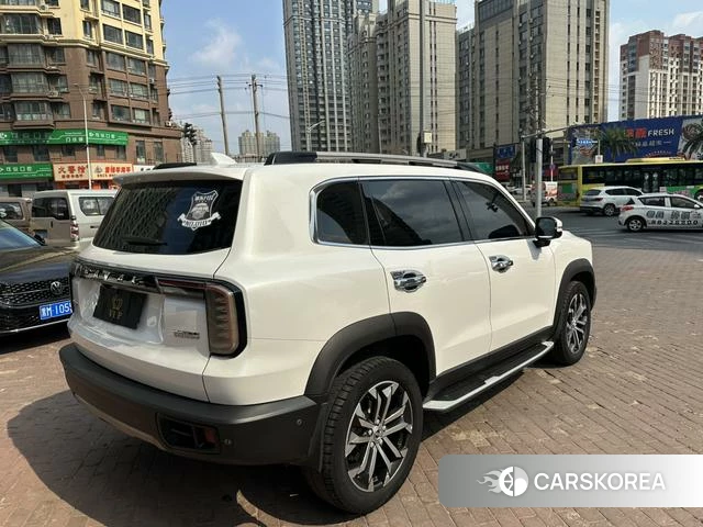 Haval Big dog 2021 Белый из Китая, фото 6