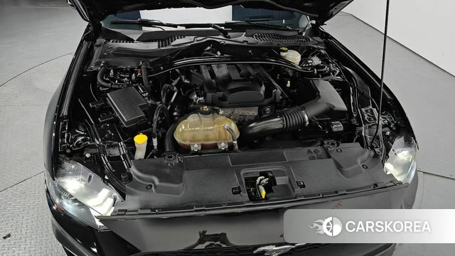 Ford Mustang id 3905199 из Кореи 16