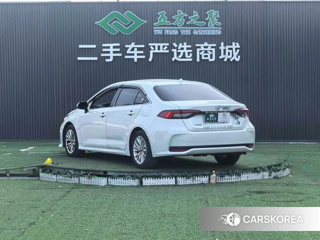 Toyota Asian lion id 4258694 из Китая 16
