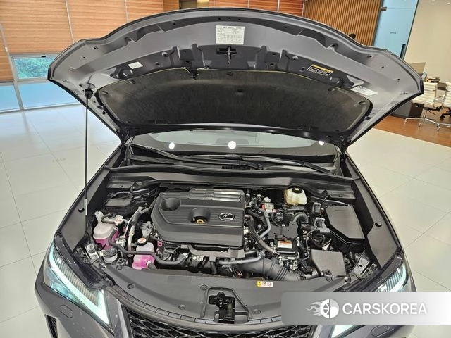 Lexus UX300h id 4601245 из Кореи 11