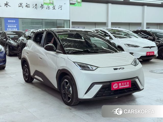 BYD Seagull id 3856230 из Китая 15