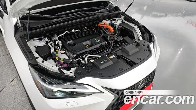 Lexus NX450h + 2nd generation id 2800413 из Кореи 16