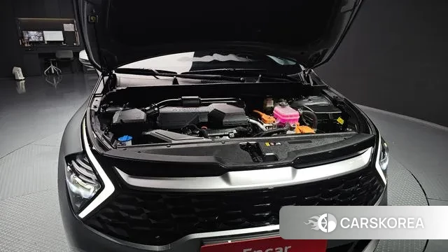 Kia Sportage 5th Generation Hybrid id 2988775 из Кореи 16