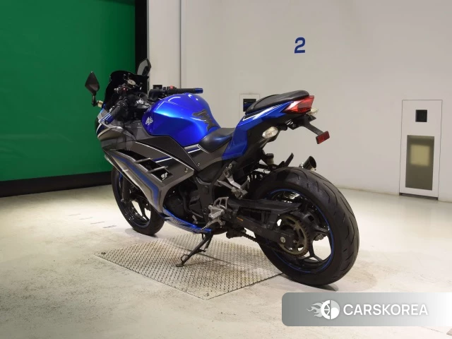 Kawasaki NINJA 250 ABS id 4392900 из Японии 6