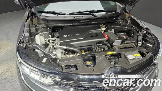 Renault Korea (Samsung) The New QM6 id 2679990 из Кореи 16