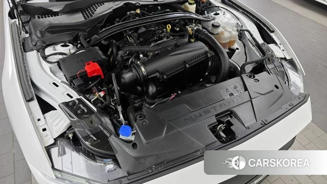 Ford Mustang 7th Generation id 4834499 из Кореи 26