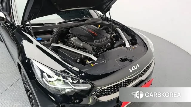 Kia Stinger Meister id 3645635 из Кореи 16