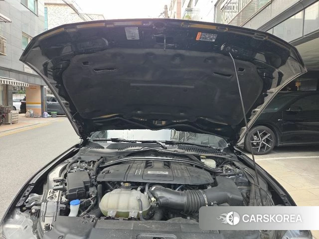 Ford Mustang id 4711378 из Кореи 16