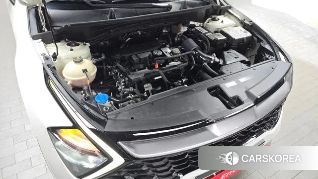 Kia Sportage 5th Generation id 3389556 из Кореи 16