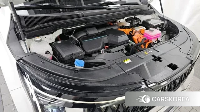 Kia The New Carnival 4th Generation id 3031503 из Кореи 16