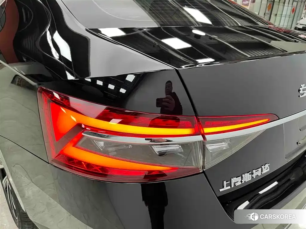 Skoda Speed pie id 4538728 из Китая 21