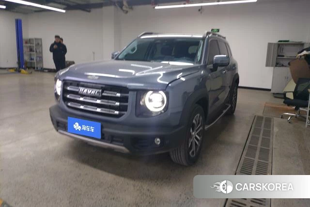 Haval Big dog id 4027660 из Китая 13