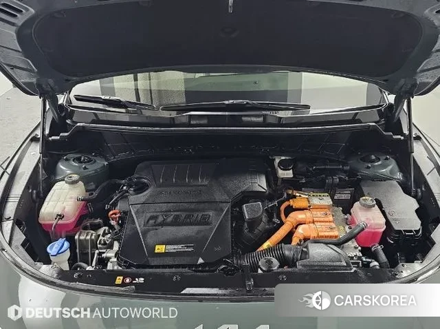 Kia Di Ol Nu Niro id 3625288 из Кореи 16