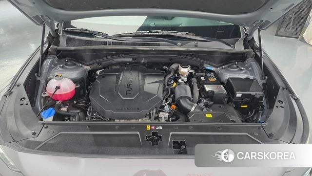 Hyundai The New Santa Fe id 4517676 из Кореи 31