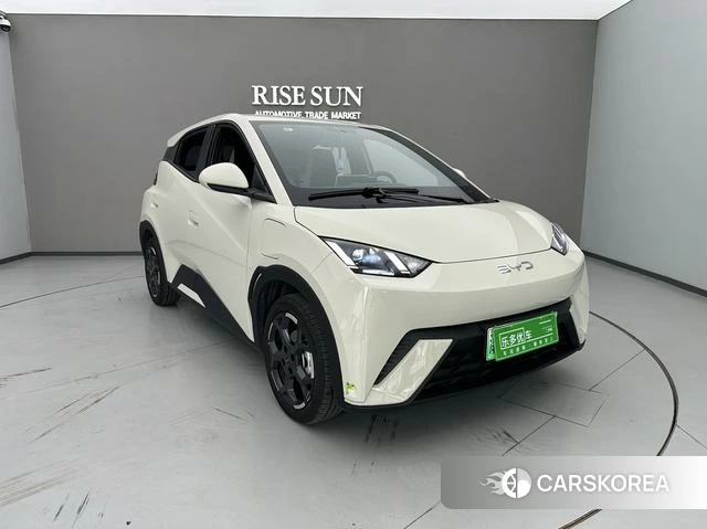 BYD Seagull 2024 Белый из Китая, фото 6