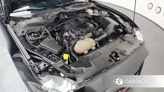 Ford Mustang id 3626775 из Кореи 16