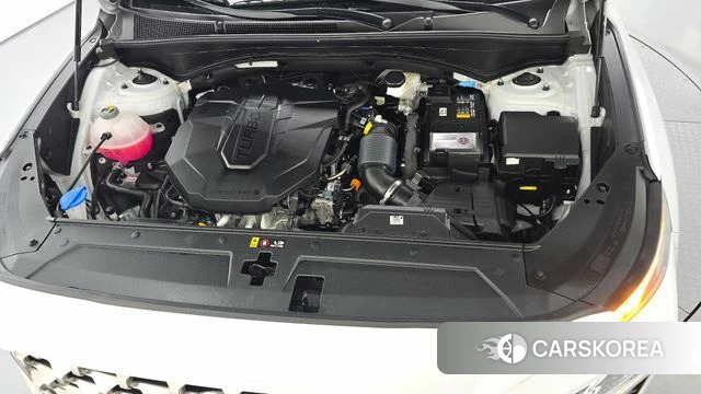 Hyundai The New Santa Fe id 4415442 из Кореи 27