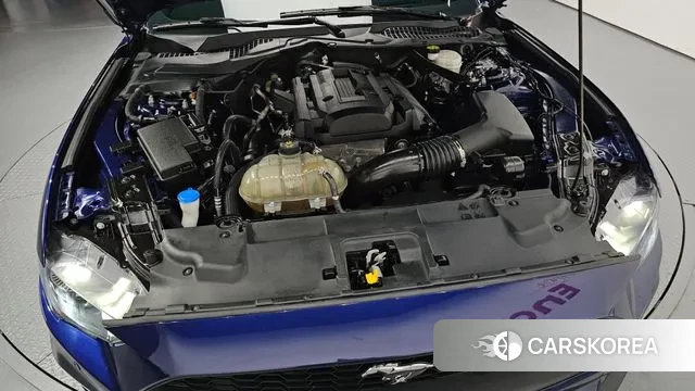 Ford Mustang id 3402318 из Кореи 16