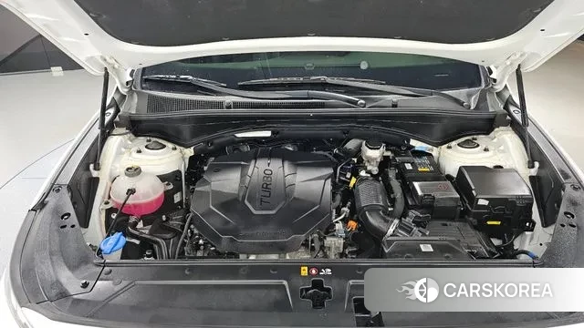 Hyundai The New Santa Fe id 2970156 из Кореи 16