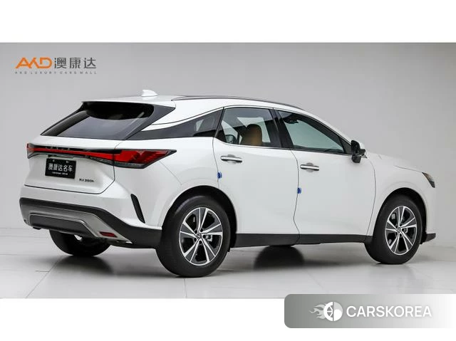 Lexus RX 2025 Белый из Китая, фото 6