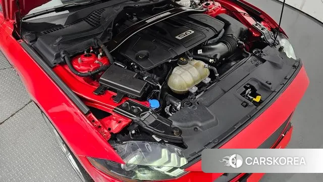 Ford Mustang id 2999380 из Кореи 16