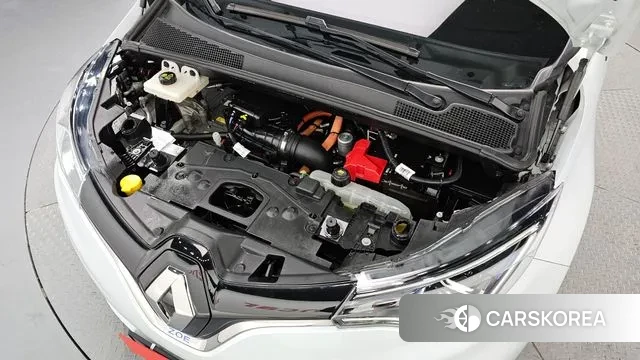 Renault Korea (Samsung) Joe id 3384789 из Кореи 16