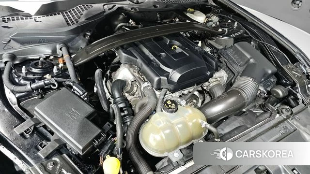 Ford Mustang id 3893839 из Кореи 16