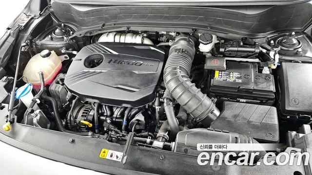 Kia Seltos id 2594154 из Кореи 16